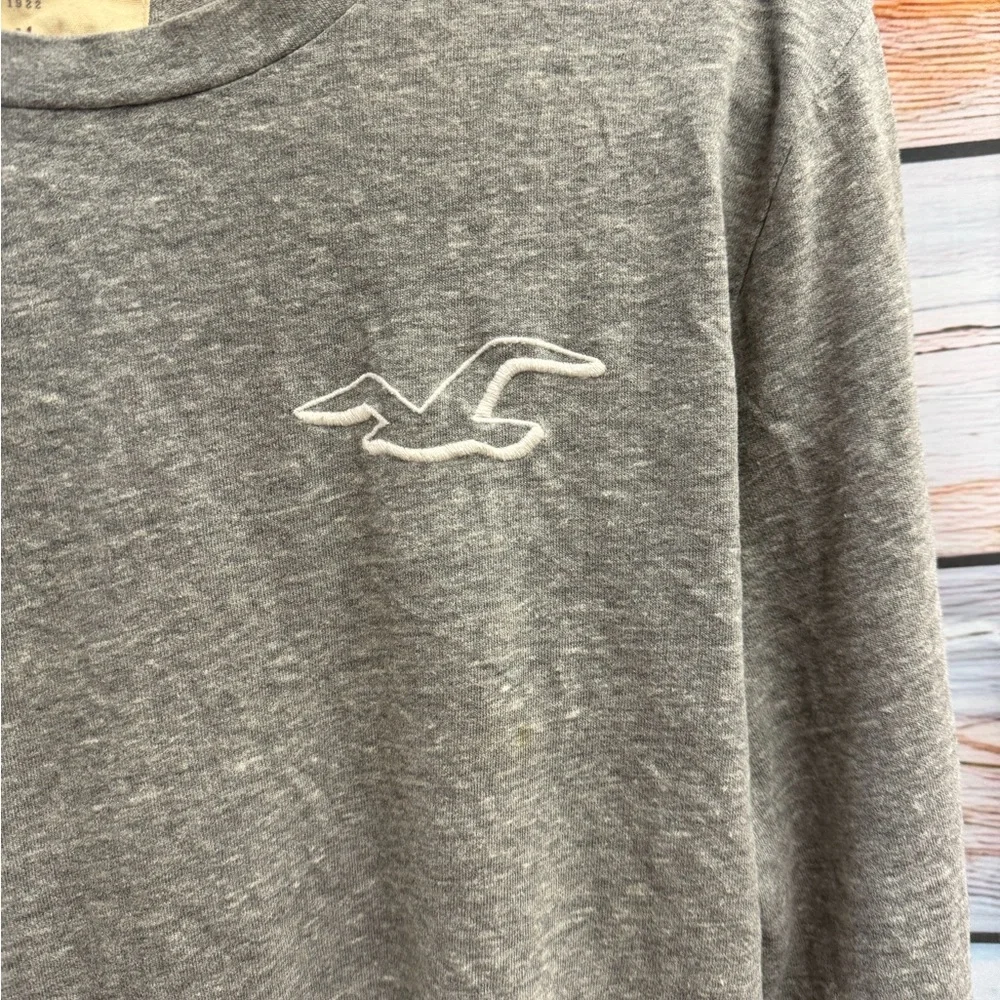 Hollister‎ Heather Gray long sleeve Tee. Two small holes in the sleeve.